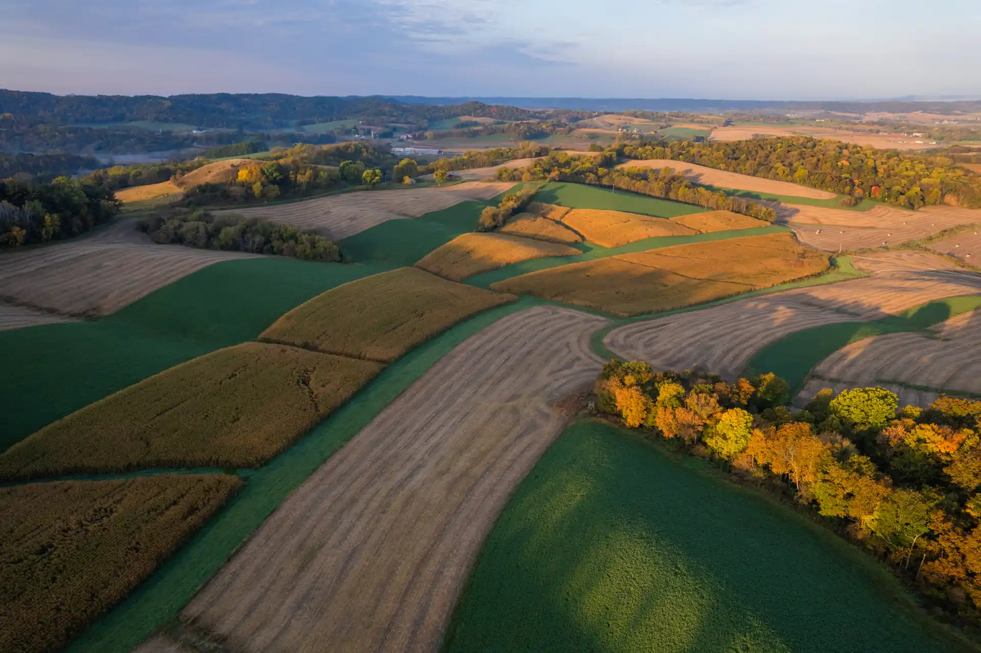 farm landscape
