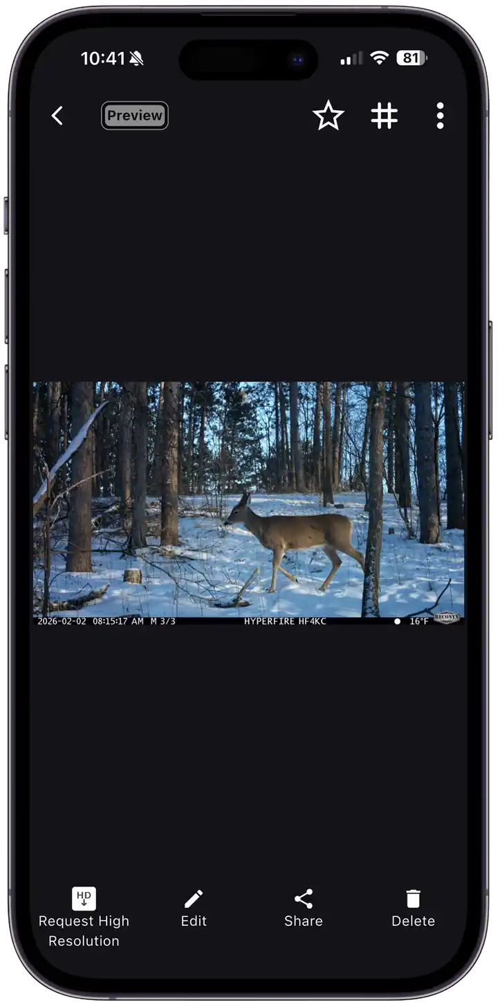 Download images in full resolution