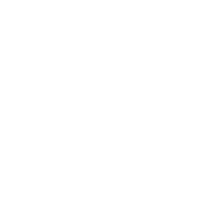 Twitter - X