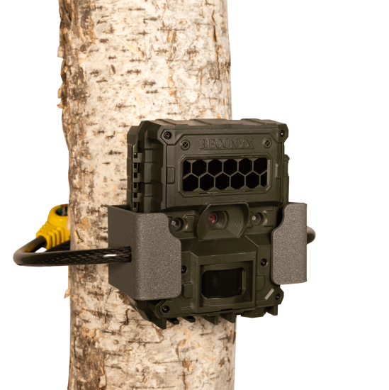 HyperFire 4K C-Bracket Python Accessory