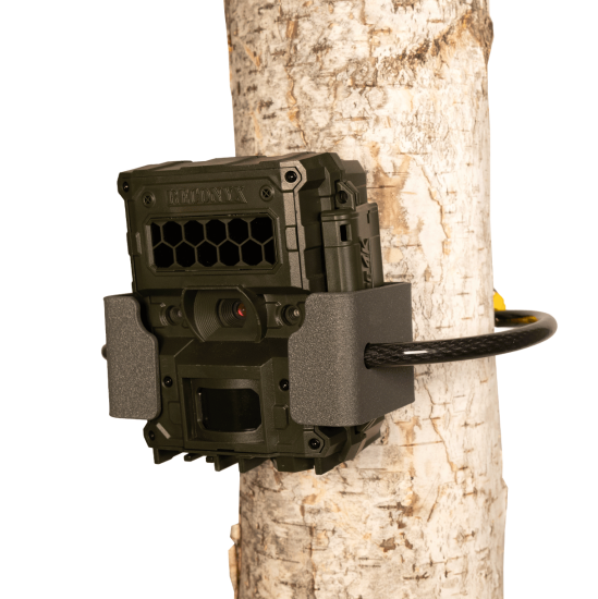 HyperFire 4K C-Bracket Python Accessory